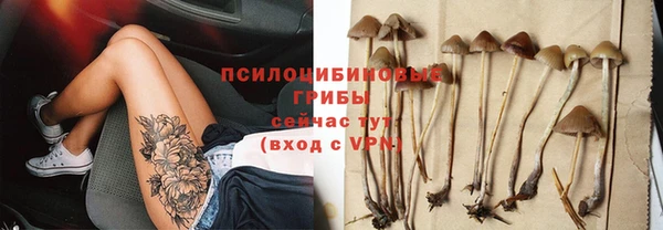 гидропоника Коряжма