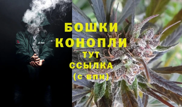 гидропоника Коряжма