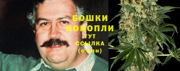 гидропоника Коряжма