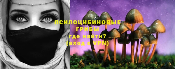 мдпв Костерёво